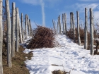 gallery-24-big