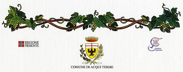 "Città di Acqui Terme", 29° Concorso Enologico: diploma di merito rilasciato al vino Piemonte Chardonnay 2007.