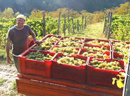 Azienda Agricola Ca' del Principe