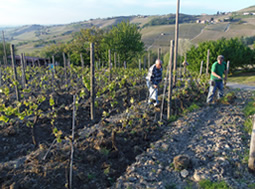 Azienda Agricola Ca' del Principe