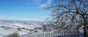 Panorama of the Langhe.