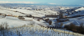 Panorama of the Langhe.