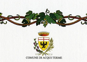 "Città di Acqui Terme", 29° Concorso Enologico: diploma di merito rilasciato al vino Piemonte Chardonnay 2007.