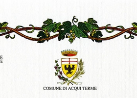 “Città di Acqui Terme” (city of Acqui Terme), 29th enological competition: merit diploma issued to the wine Muscat of Asti 2008.